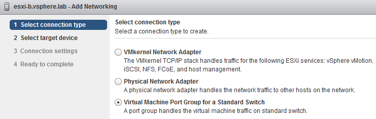 vsphere standard network switch web client connection type